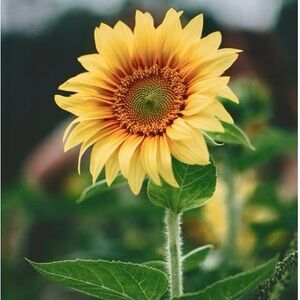 Welcome 🤗 to my closet❤️❤️👋